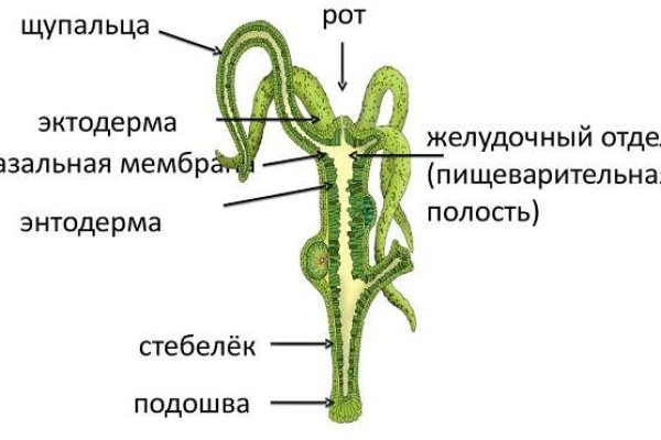 Зеркало на мега