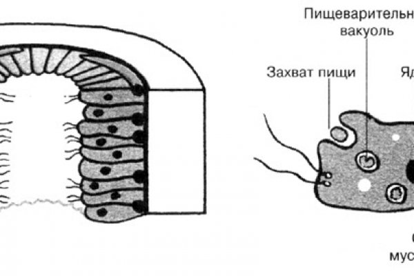 Ссылка на мегу оригинал