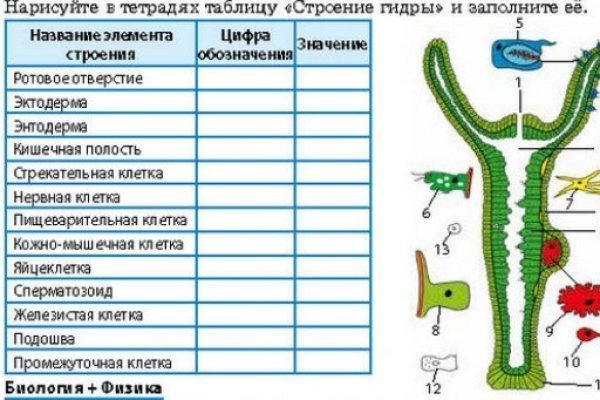 Площадка мега даркнет