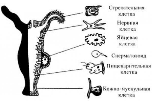 Мега даркнет зеркало